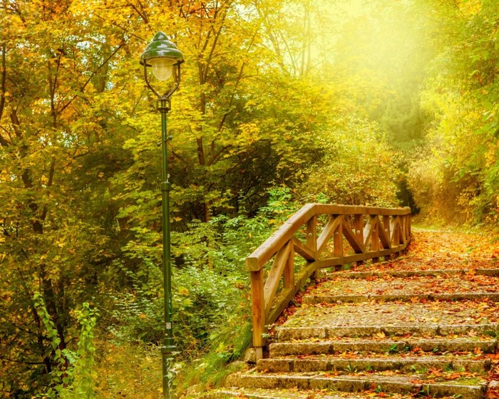 Где-то осень тосклива, но только не в Праге. - 8