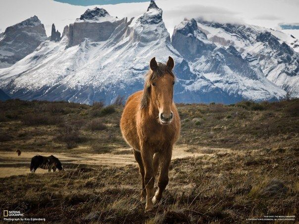 Der 1959 gegründete Nationale Park Torres del Paine ist eines der beliebteststen Touristenziele in Chile.
