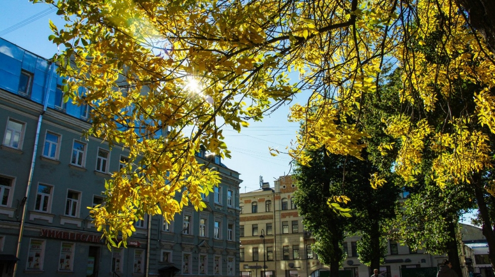 Plötzlich ein wunderschöner Beginn des herbstlichen Jahres in Sankt Petersburg.