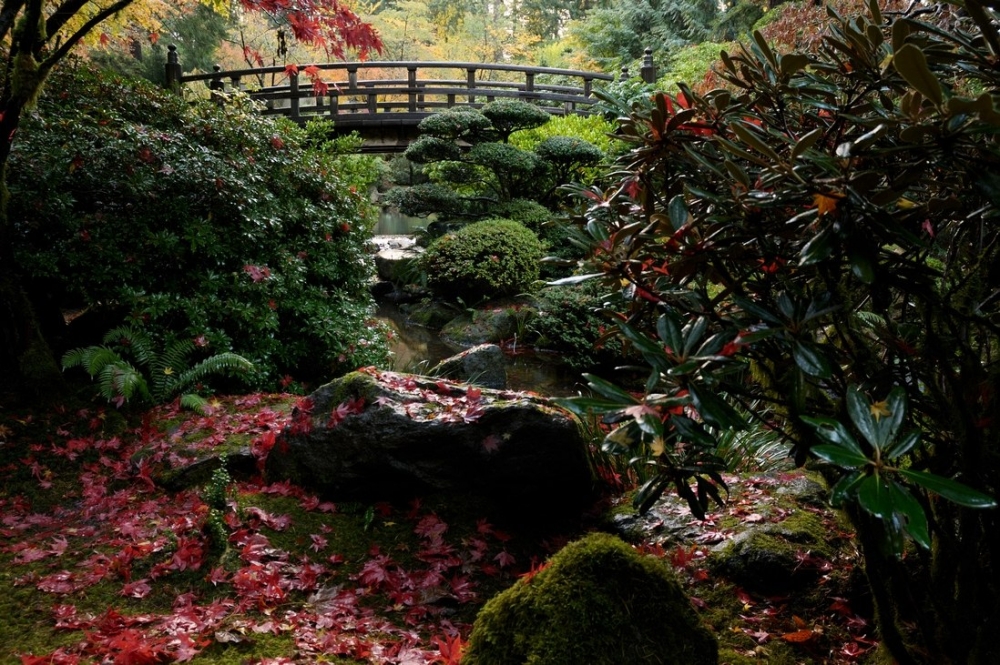 Ein japanischer Garten in den USA – genießen Sie ihn! - 5