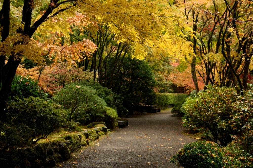 Ein japanischer Garten in den USA – genießen Sie ihn! - 8