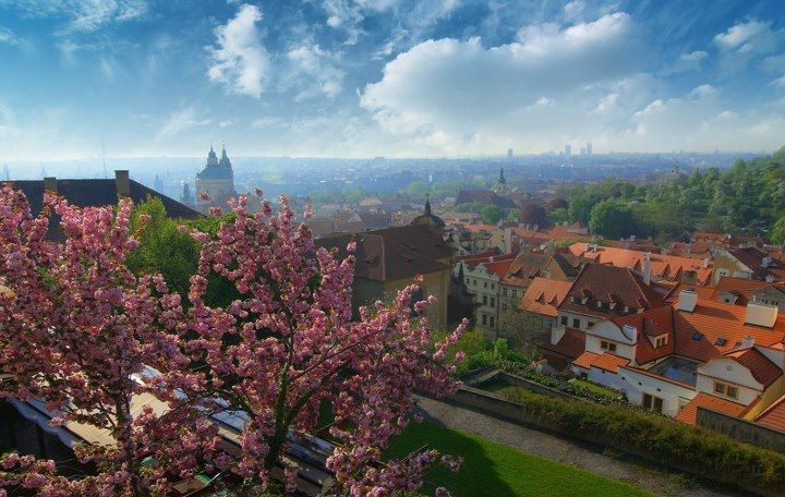 Великолепие цветущей Праги
