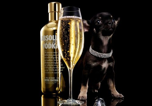 Коктейль Соленый Пес