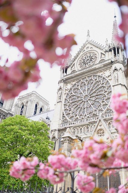Весна в Париже