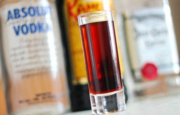 Iguana (Игуана)