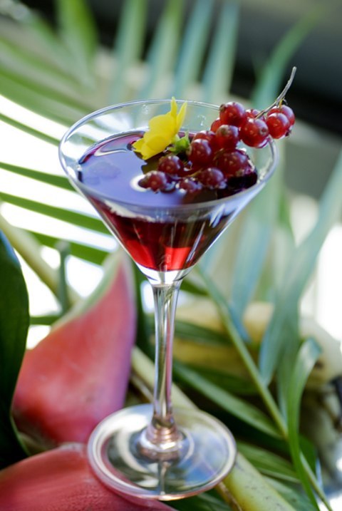 Коктейль «Клюквенный поцелуй»