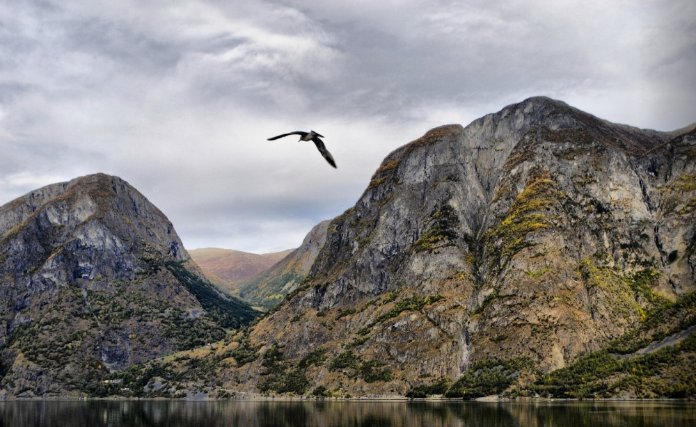 ¡Qué increíble es Escandinavia!