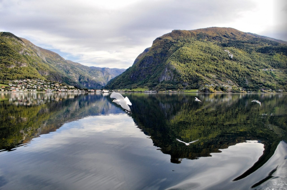 Amazing Scandinavia! - 6