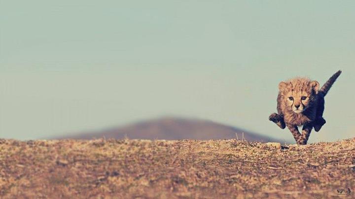 Забавный малыш