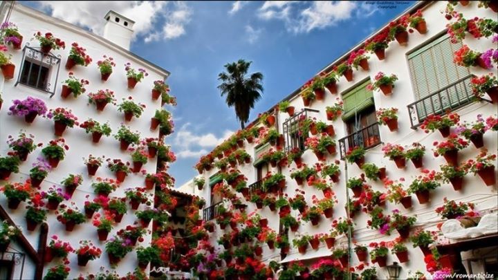 西班牙，科尔多瓦