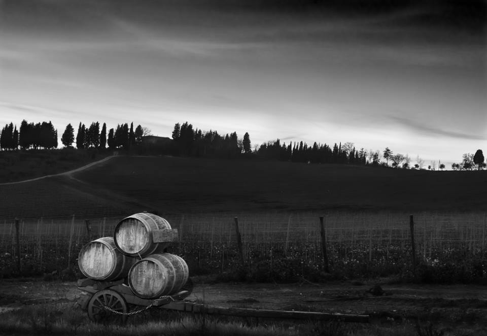 赫雷斯葡萄酒与苏格兰威士忌之间存在着某种联系或相似之处。这种联系可能源于它们在制作过程中所采用的相似方法或技术。虽然这两种酒类的生产过程有着诸多差异，但它们仍然共享某些共同特征。