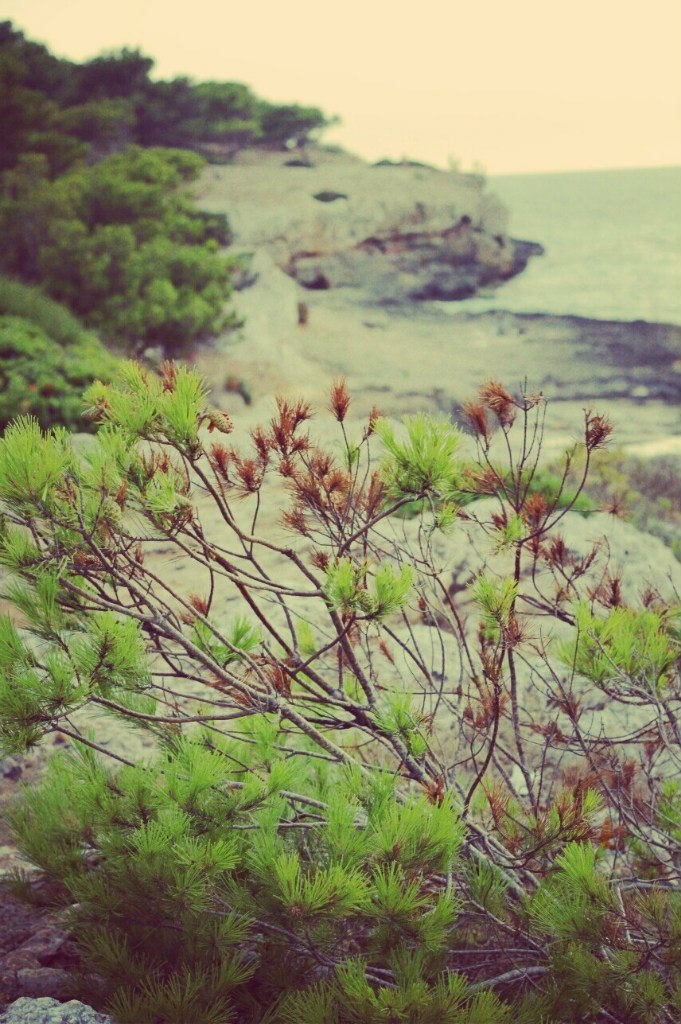 España, Mallorca - 5