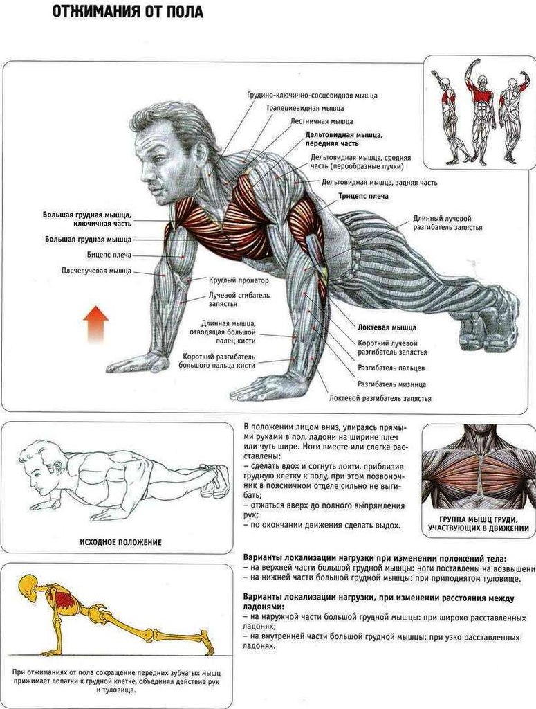 Kreuzheben: Wer braucht die eigentlich?. Entdecken Sie diese neue Übung.