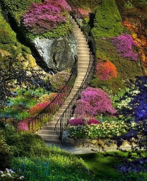 В вечноцветущих садах Будхарт в провинции Британская Колумбия, на западе побережья Канады.