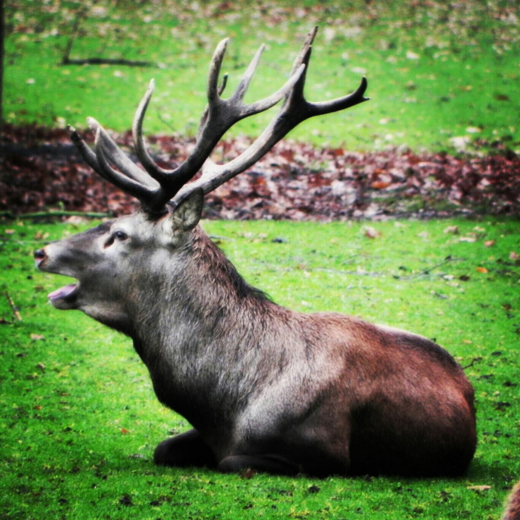 Wildlife Reserves. Stadt Lüneburg, Deutschland. - 5