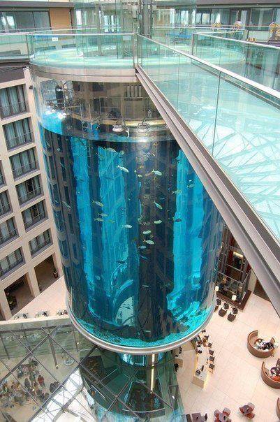 AquaDom in Berlin – a 25-meter-tall cylindrical aquarium made of acrylic glass, constructed around a transparent lift.