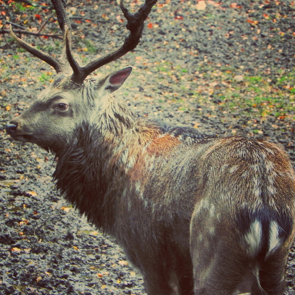 Wildlife Reserves. Stadt Lüneburg, Deutschland.