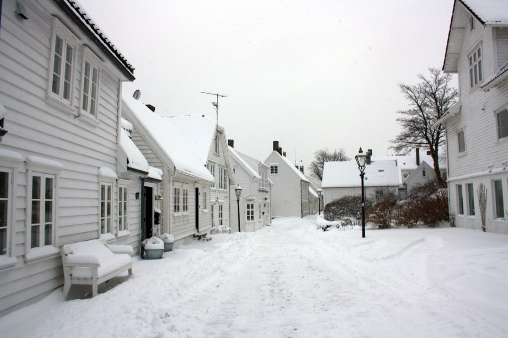 伦敦郊区的冬天