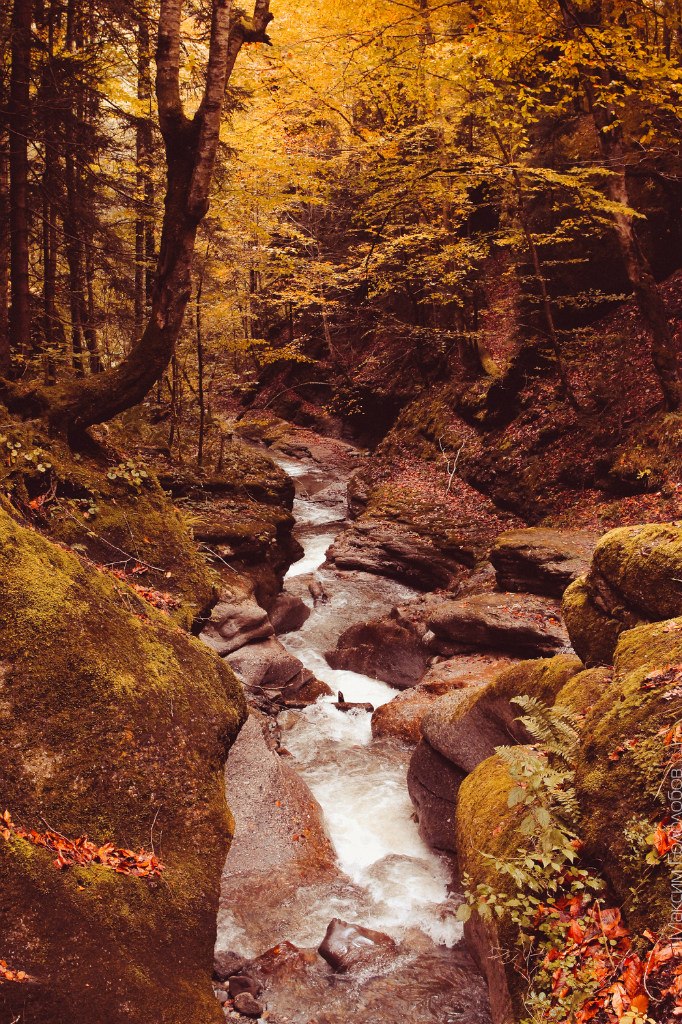 Piękna jesień. Park naturalny Thach - 5