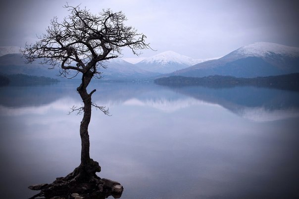 Blick auf den See, Schottland