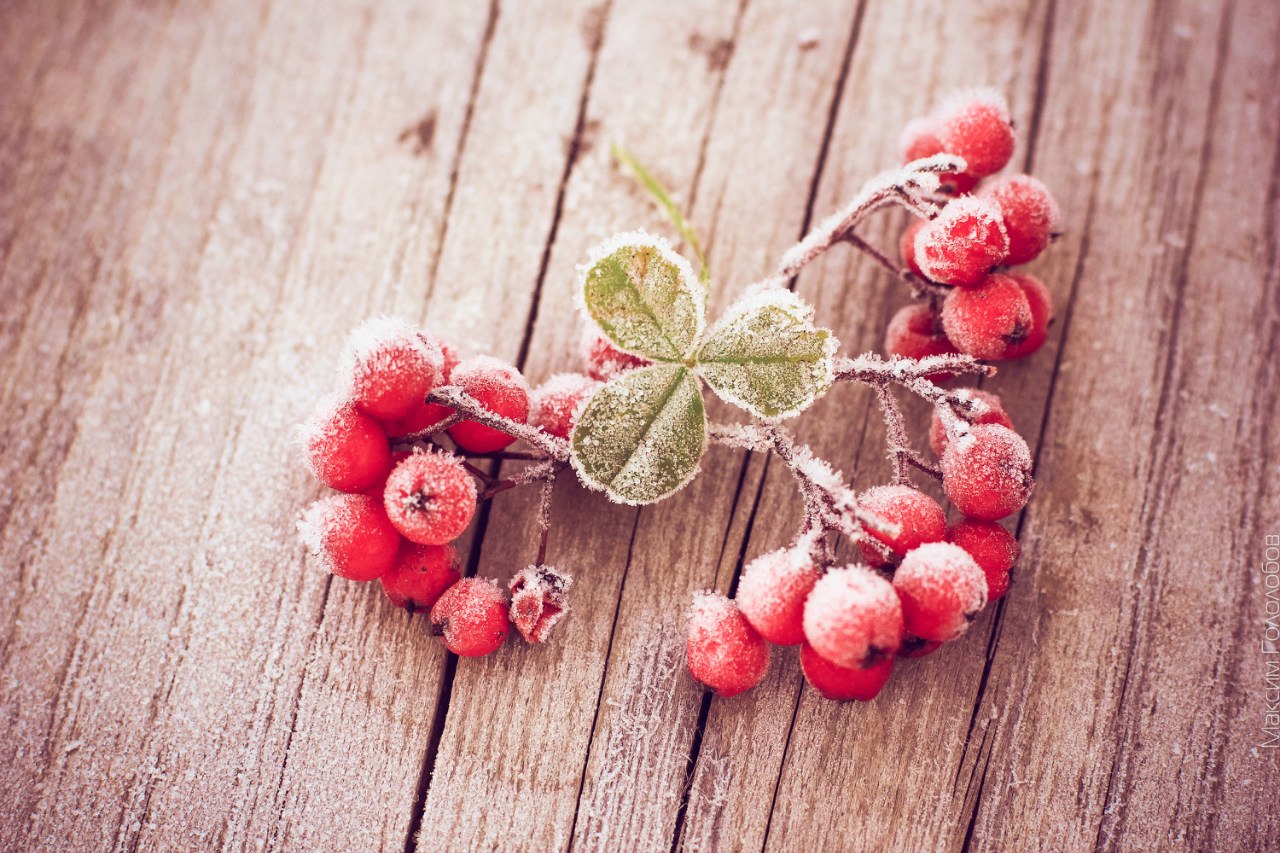 Piękna jesień. Park naturalny Thach - 7