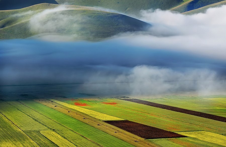 Fog over fields, Tuscany