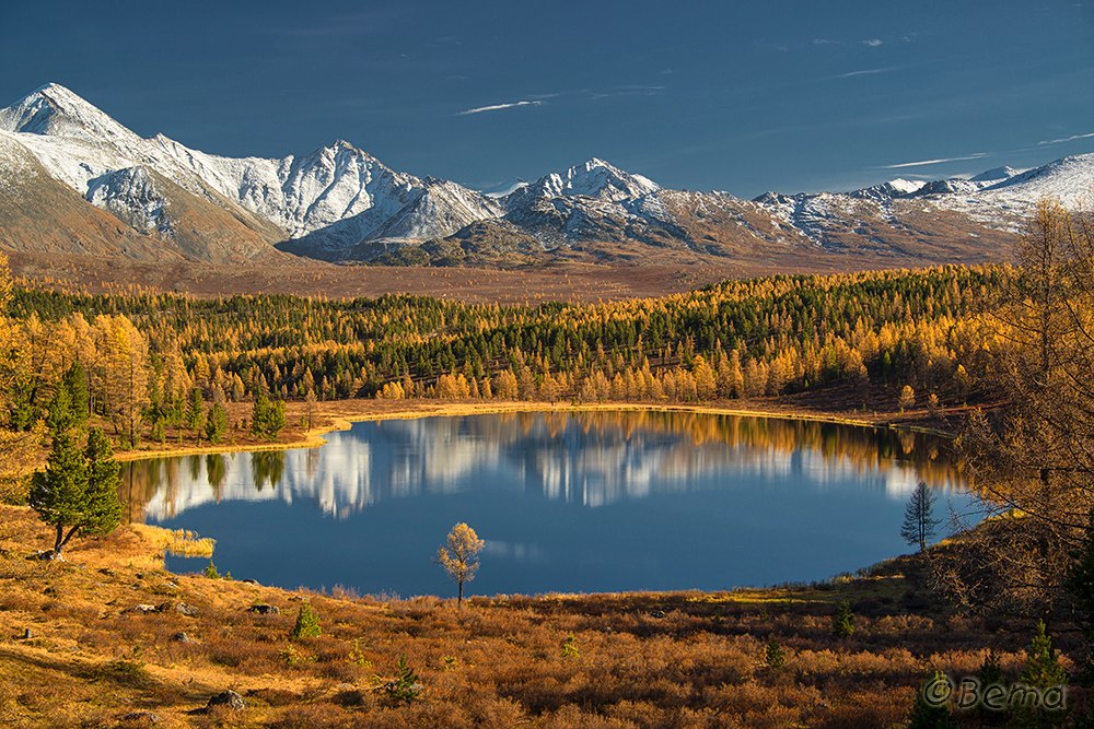Złote jesień Górnego Altaju.