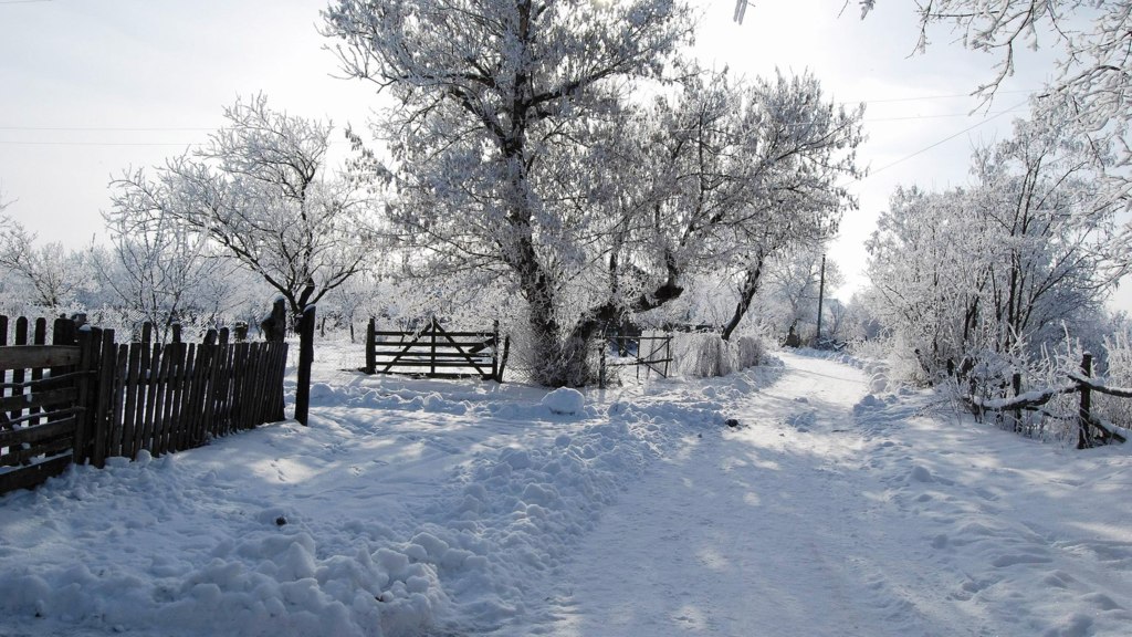 Morning in a small village
