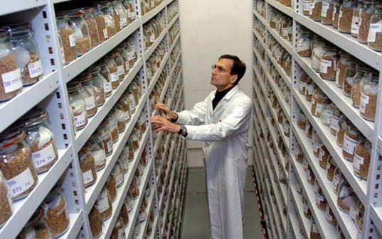 Der im Februar 2008 eröffnete globale unterirdische Lagerhaus auf Svalbard ist die größte Sammlung von Saatgut der Welt.