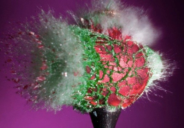 Fotograf Alan Seller i jego rozbijające się bombki świeżości, wypełnione kolorowym piaskem. - 8