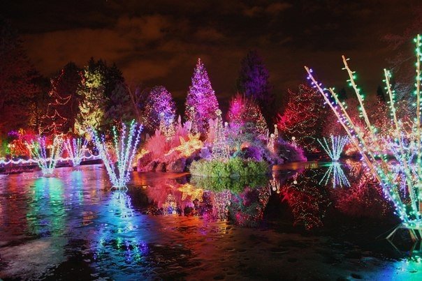 Co roku w Vancouver, w ogrodzie botanicznem Van Dusen, organizuje się festiwal światła – niezwykły spektakl, w którym bierze udział 1 400 000 żarówek. - 7