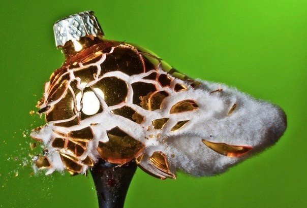 Fotograf Alan Seller i jego rozbijające się bombki świeżości, wypełnione kolorowym piaskem. - 5