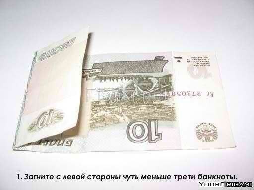 Les sugerimos que coloquen en su billetera a este maravilloso habitante que trae buena suerte.