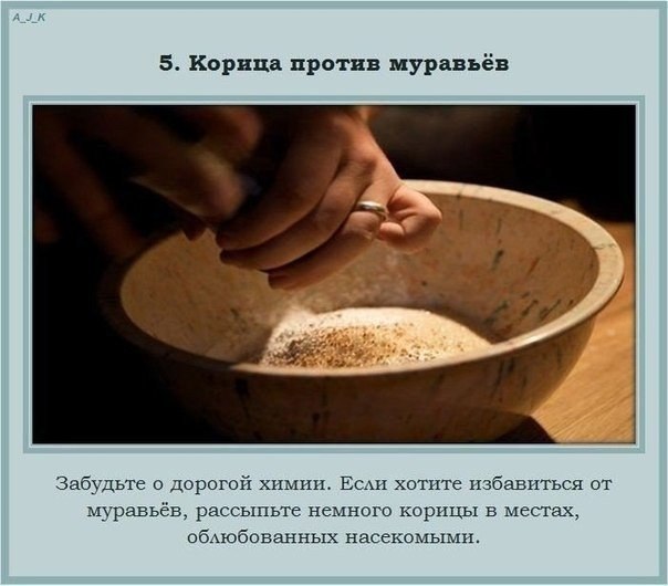 Uso inusual de objetos o elementos que son habitualmente utilizados en otros contextos. - 5