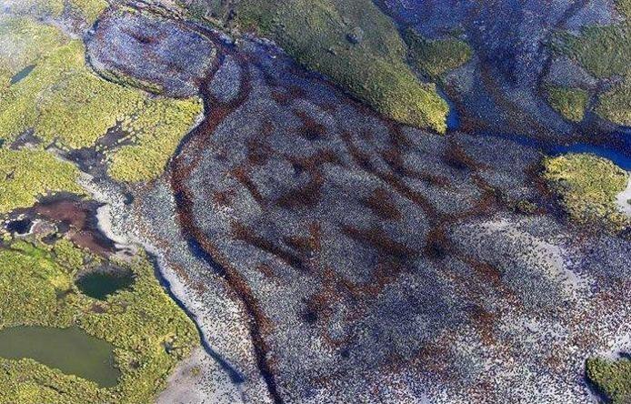 Czy od razu zgadaliście, co wida się na fotografii?