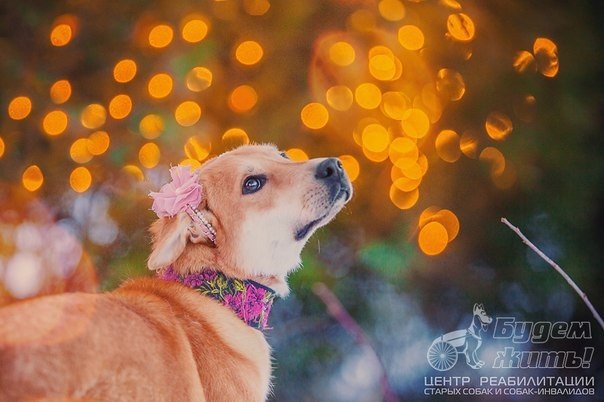 Cada uno decide por sí mismo a quién ayudar.