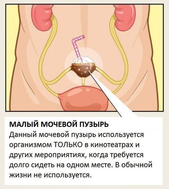 一些你此前根本不知道其存在的器官。 - 6