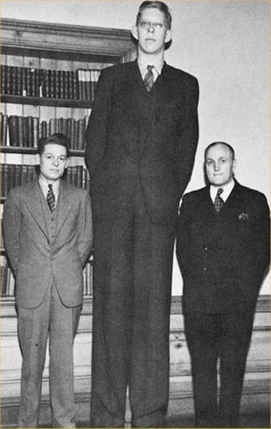 Najwyższym człowiekiem w historii uznaje się Amerykanin Robert Wadlow.