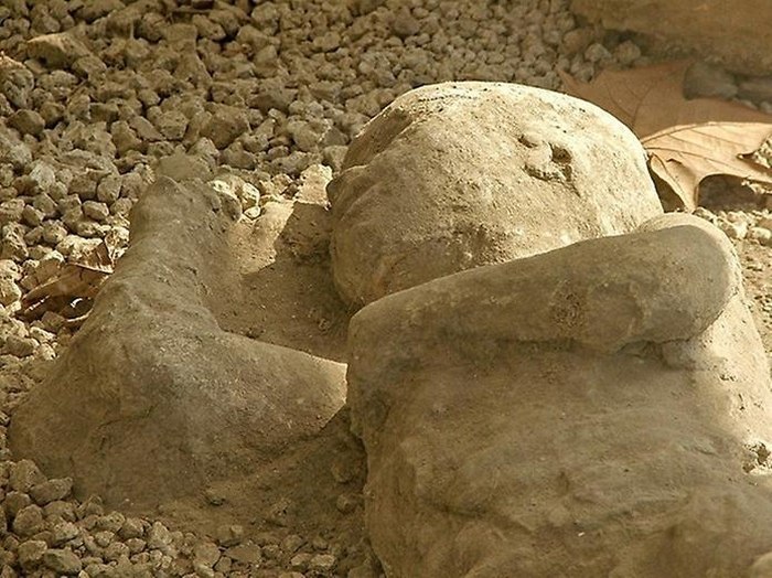 Congelados durante siglos bajo el flujo de lava. - 9