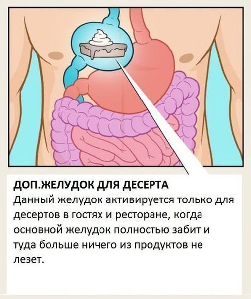 一些你此前根本不知道其存在的器官。 - 8