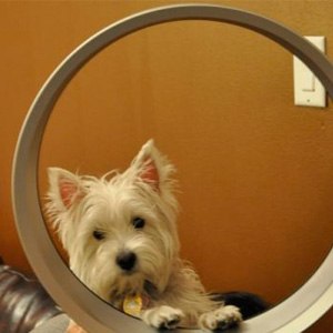 Ventilador sin aspas “CÍRCULO”<br>Tecnologías del futuro, ahora en su hogar.