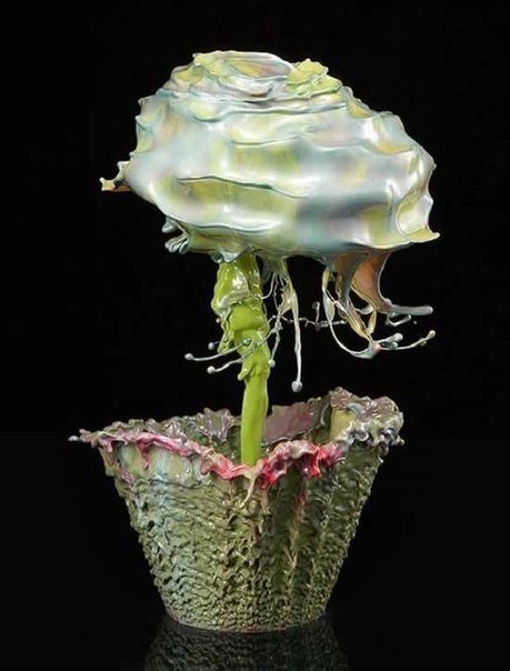 El fotógrafo Jack Long captura las salpicaduras de líquido de tal manera que resultan en formas que parecen flores.