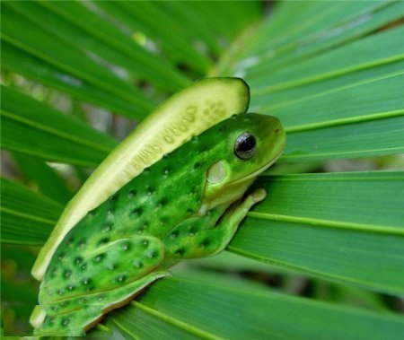 Se suscribió a [club12818778|“WOW Publicidad”:].