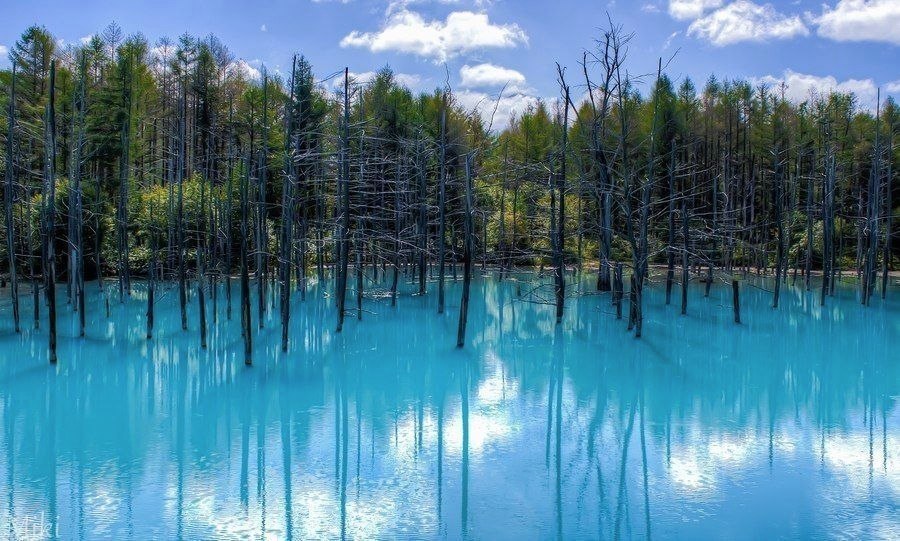 Der blaue Teich, Hokkaido