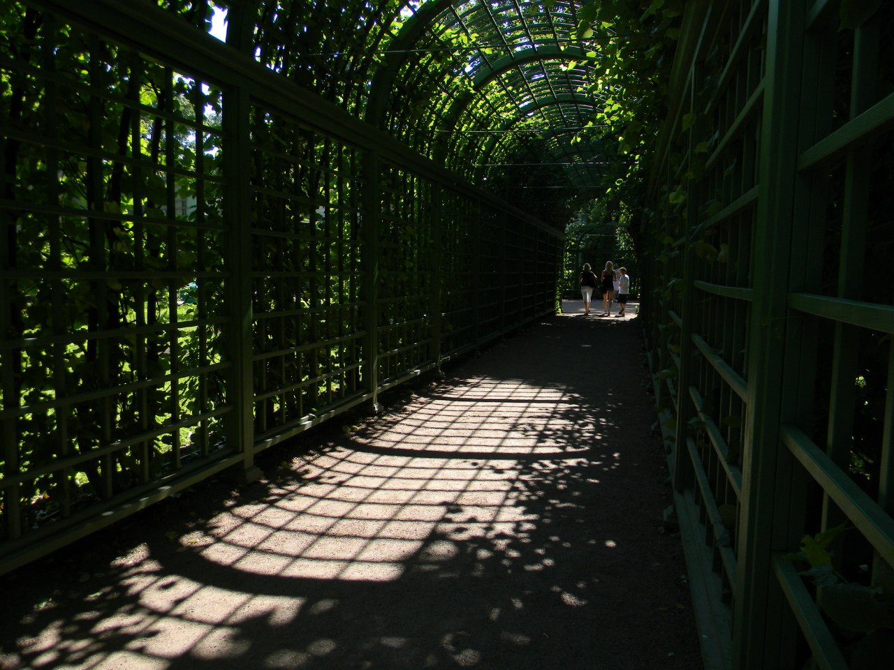 Jardín de Verano (San Petersburgo) - 6