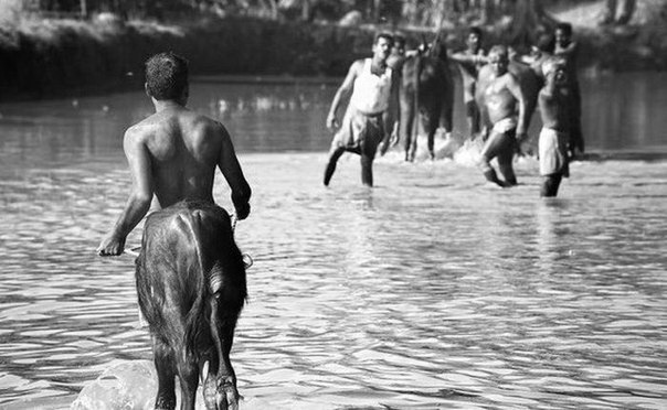 Dedicado a aquellos que no creen en las coincidencias. - 7