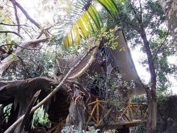 Hotel “La Casa de los Lunes”, Dalat, Vietnam. - 9