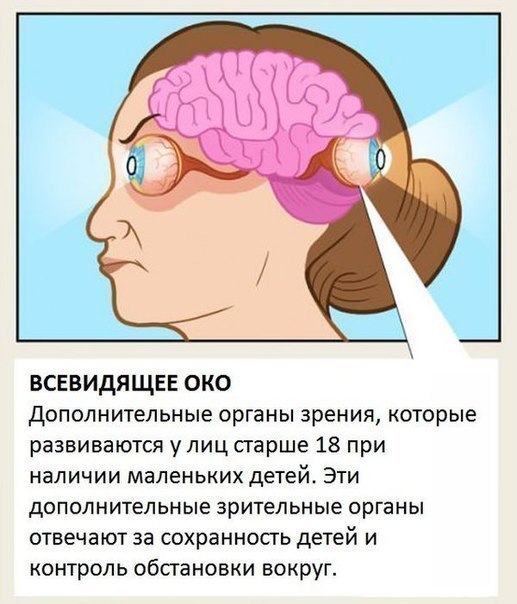 一些你此前根本不知道其存在的器官。 - 5