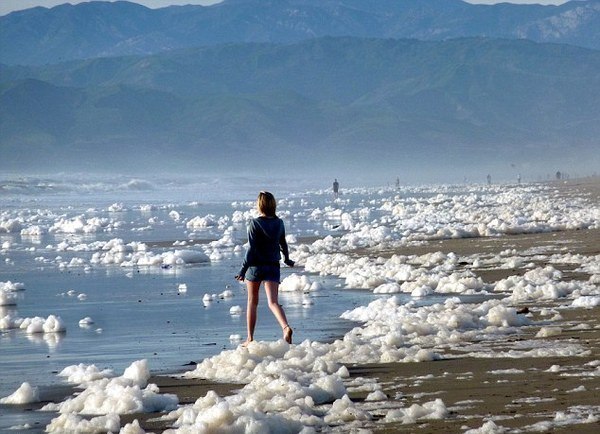 Capuchino Costero. El Capuchino Costero es un fenómeno natural que ocurre muy, muy raramente. - 6