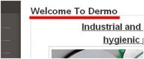 Marki z niecenzuralnymi nazwami. Nazwy niektórych marek mogą brzmić nieco absurdnie w języku rosyjskim. - 9